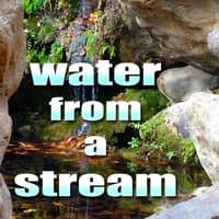 Meditate and Relax with Water From A Stream