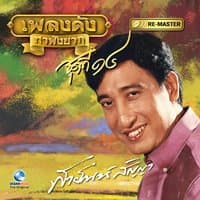 เพลงดัง สายัณห์ สัญญา, Vol. 14