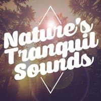 Nature's Tranquil Sounds