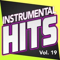 Instrumental Hits, Vol. 19