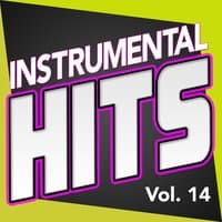 Instrumental Hits, Vol. 14