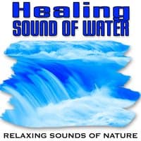 Healing Sound of Water (Nature Sounds)