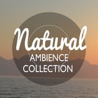 Natural Ambience Collection