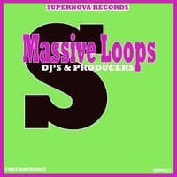 Massive Loops