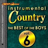 Instrumental Country: The Best of the Boys, Vol. 6