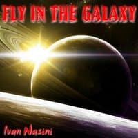 Fly in the Galaxy