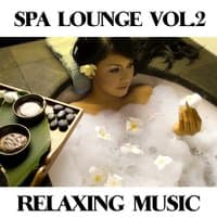 Spa Lounge, Vol. 2