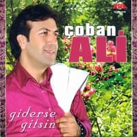 Giderse Gitsin