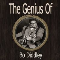 The Genius of Bo Diddley