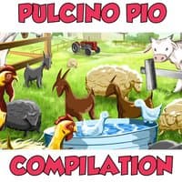 Il pulcino Pio Compilation