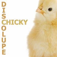 Chicky