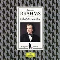 Brahms: 49 Deutsche Volkslieder - Book VII - 45. Es saß ein schneeweiß' Vögelein