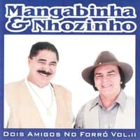 Solos de Acordeon - Dois Amigos No Forró, Vol. 2