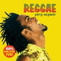 Reggae Party Megamix