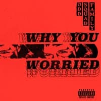 Why You Worried