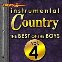 Instrumental Country: The Best of the Boys, Vol. 4