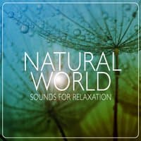 Natural World: Sounds for Relaxation