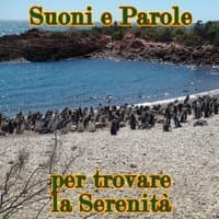 Suoni e parole per trovare la serenità