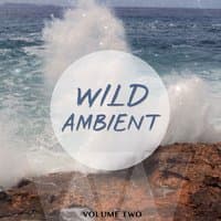 Wild Ambient, Vol. 2