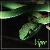 Viper