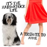 It's the Hard-Knock Life: A Tribute to Annie