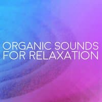 Organic Sounds for Relaxation