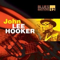 Blues Masters Vol. 12