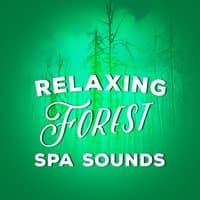 Relaxing Forest Spa Sounds