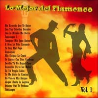 Lo Mejor del Flamenco Vol. 1