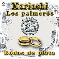 Bodas De Plata