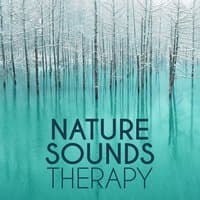 Nature Sounds Therapy