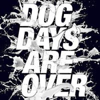 The Dog Days Are Over