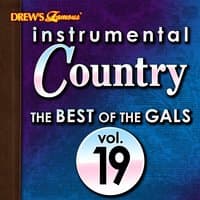 Instrumental Country: The Best of the Gals, Vol. 19