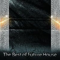 The Best of Future House