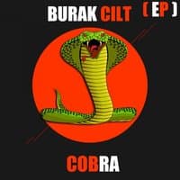 Cobra