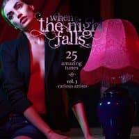 When the Night Falls (25 Amazing Tunes), Vol. 3