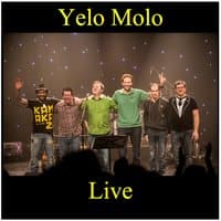 Yelo live