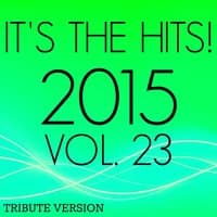 It's The Hits! 2015, Vol. 23