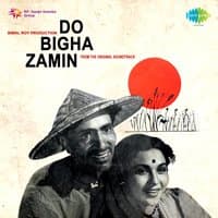 Do Bigha Zamin Theme