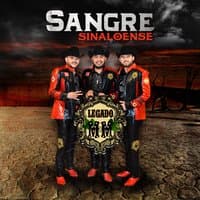 Sangre Sinaloense