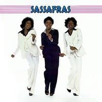 Sassafras