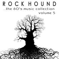 Rock Hound: The 60's Music Collection, Vol. 5