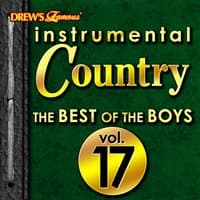 Instrumental Country: The Best of the Boys, Vol. 17