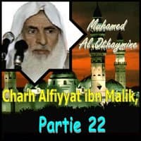 Charh Alfiyyat ibn Malik, Partie 22