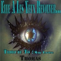 Elle a les yeux revolver: Tribute to Marc Lavoine