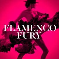 Flamenco Fury