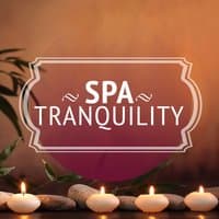 Spa Tranquility