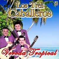 Vereda Tropical