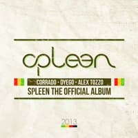 Spleen