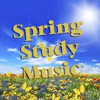 Spring Study Music